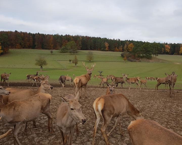 Waldschänke am Hirschpark