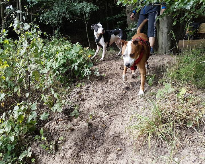 Campingplatz und Restaurant Bohmeschlucht